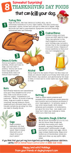 What Not To Feed Your Dog for Thanksgiving