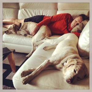 Love my post-hike nap with the dogs.