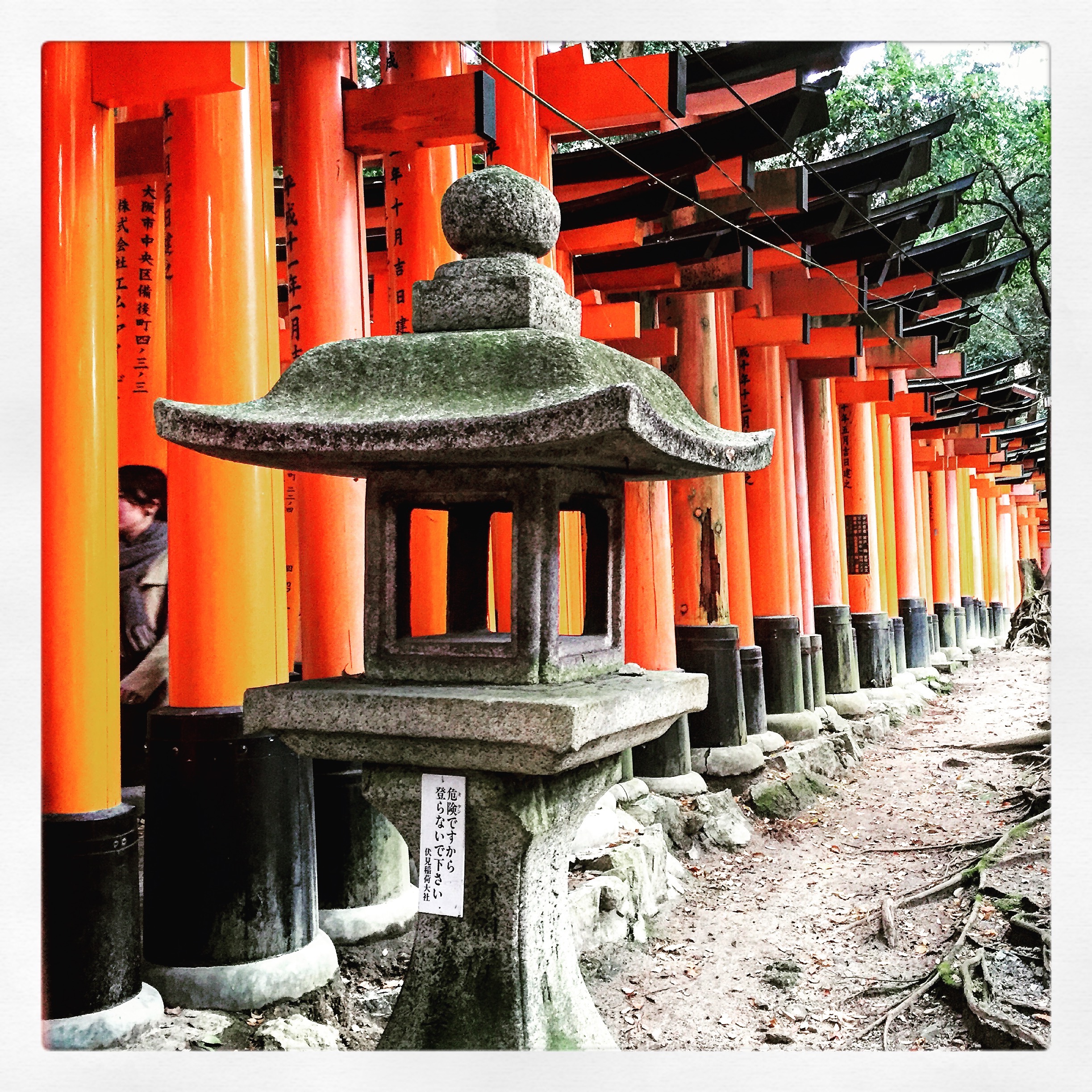 One of my favorite pictures from my day in Kyoto, Japan: The Torii, or gates, of Fushimi Inari-Taisha. 
